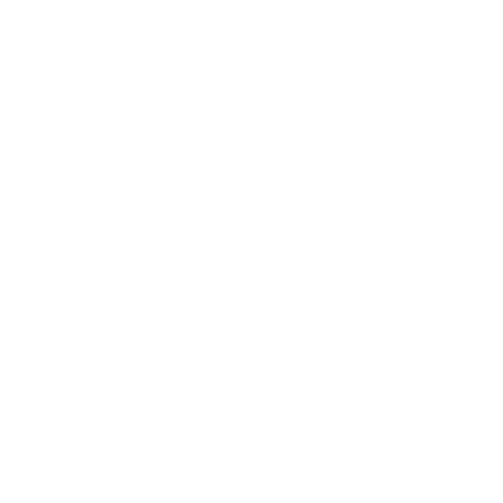white logo of HBS Nepal
