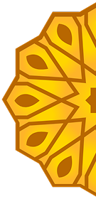 flower petal pattern