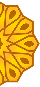 flower petal pattern